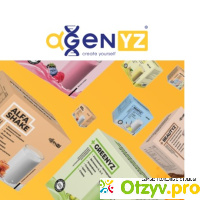 Agenyz компания официальный сайт отзывы