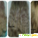 Faberlic PRO ВОЛОСЫ Легкий кондиционер для волос склонных к жирности - Кремы, маски и масла для волос - Фото 12825