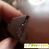 Шоколад Коммунарка горький с шоколадной начинкой - Шоколад - Фото 13853