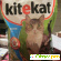 Сухой корм для кошек и котов Kitekat - Корм для кошек - Фото 19951
