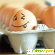 Куриные яйца - Разное (продукты питания) - Фото 47483