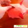 Свинка-копилка из папье маше своими руками - Разное (товары для рукоделия) - Фото 56001