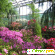Ботанический сад екатеринбург - Ботанические сады и дендрарии - Фото 89912