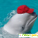Дельфинарий анапа - Дельфинарии - Фото 86083