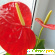 Комнатные цветы Антуриум - Растения комнатные - Фото 84760