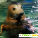 Океанариум питер - Зоопарки, дельфинарии, океанариумы - Фото 89103