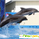 Дельфинарий анапа - Дельфинарии - Фото 86084
