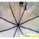 Зонты зест - Зонты - Фото 111924