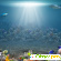 Краснодар океанариум - Океанариумы - Фото 102033