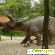 Парк динозавров - Разное (зоо) - Фото 110696