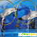 Вместе с дельфинами - Разное (фильмы, видео и ТВ) - Фото 114421