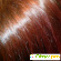 Краска для волос Артколор Хна иранская классическая - Краска для волос - Фото 121702