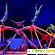 Cirque du soleil - Цирки - Фото 112904
