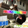 Counter-Strike: Global Offensive (CS:GO) - Компьютерные игры - Фото 124387