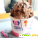 Баскин Робинс - Мороженое - Фото 114635