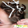 Приборы для завивки волос - Фены, плойки, щипцы для волос - Фото 142951