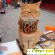 книга Уличный кот по имени Боб - Разное (книги) - Фото 148478