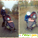 Прогулочная коляска Geoby c 409 - Детские коляски - Фото 133040