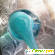 Жидкое мыло Avon Senses Морская лагуна - Мыло - Фото 144049
