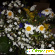 флордель - доставка цветов -  - Фото 150503