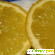 Лимон -  - Фото 185206
