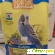 Rio Budgies корм для волнистых попугаев. -  - Фото 219314