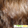 Шампунь SYOSS для тонких, ослабленных волос -  - Фото 199384