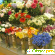 Магазин цветов челябинск -  - Фото 256349
