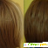 Краска-уход для волос Estel Celebrity с эффектом ламинирования тон 8/0 Светло-русый -  - Фото 264626