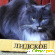 Кошка сибирская -  - Фото 301494