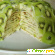 Торт Черепаха -  - Фото 295527