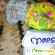 детские подгузники MEPSI - достойная альтернатива японским -  - Фото 301751