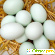 Как варить яйца вкрутую - яйца вкрутую сколько варить -  - Фото 338863