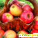 Яблоки: витамины, полезные свойства, вред -  - Фото 356072