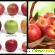 Калорийность яблока, зелёное, красное, Голден, Гренни -  - Фото 371231