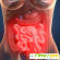 Микоз кишечника — симптомы и причины заболевания -  - Фото 371307