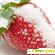 Сахар или фруктоза: польза и вред фруктозы -  - Фото 367846