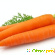 Морковный разгрузочный день: личный опыт -  - Фото 370018
