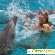 Плавать с дельфинами в москве -  - Фото 378424