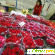 Цветы рижский рынок -  - Фото 397633
