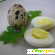 Перепелиные яйца -  - Фото 411234