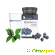 EcoPills Blueberry для зрения: цена, отзывы, купить -  - Фото 421496