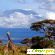 Танзания отзывы туристов -  - Фото 468056