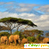 Танзания отзывы туристов -  - Фото 468055