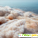 Мертвое море отзывы туристов -  - Фото 469039