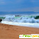 Пляжный отдых в португалии отзывы туристов -  - Фото 460100