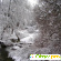 Беловежская пуща зимой отзывы туристов -  - Фото 503565