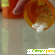 Смертельная доза глицина в таблетках -  - Фото 492955