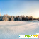 Беловежская пуща зимой отзывы туристов -  - Фото 503564