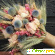 Сухоцветы yilida отзывы -  - Фото 520245